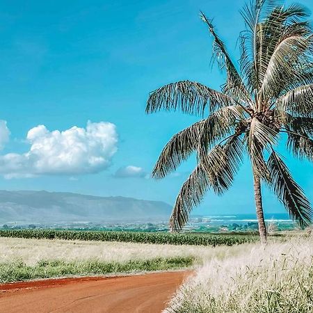 Cute Off Grid Glampsite With Wifi- 5 Min From Haleiwa Town Hotel Bagian luar foto