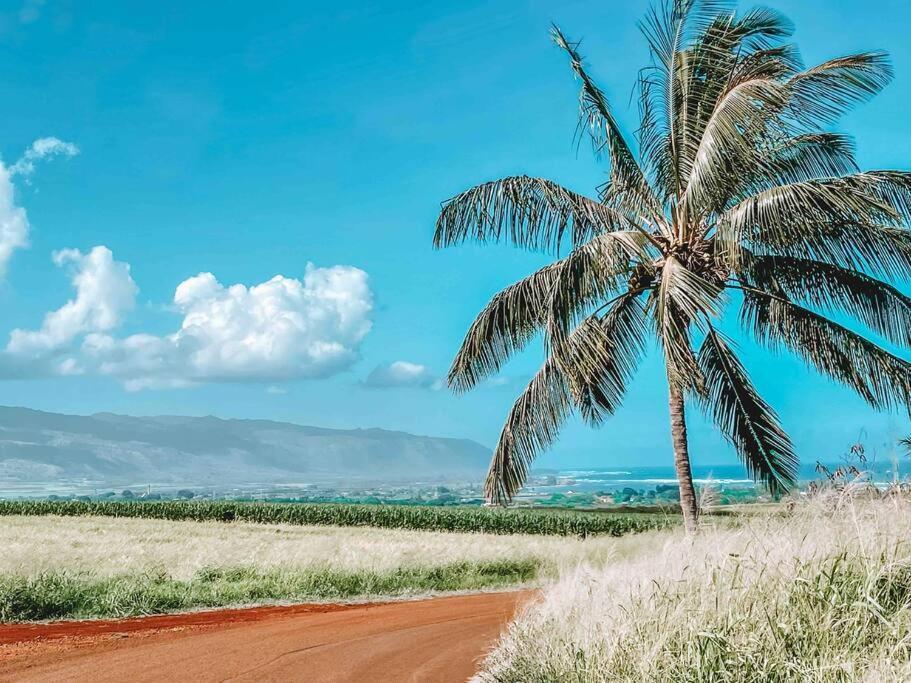 Cute Off Grid Glampsite With Wifi- 5 Min From Haleiwa Town Hotel Bagian luar foto