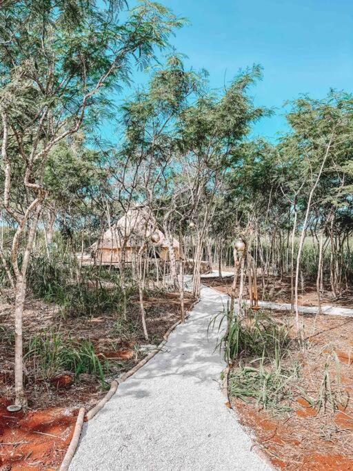 Cute Off Grid Glampsite With Wifi- 5 Min From Haleiwa Town Hotel Bagian luar foto